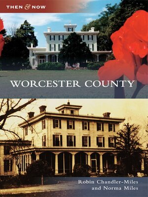 cover image of Worcester County